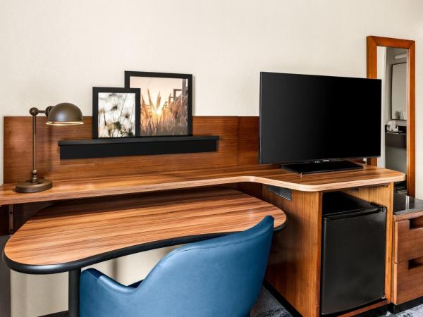 Fairfield Inn & Suites by Marriott San Antonio Downtown/Market Square : photo 4 de la chambre chambre lit queen-size