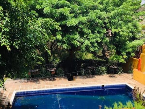 Bungalito en Cuernavaca : photo 1 de la chambre chambre double - vue sur piscine