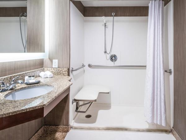 Sheraton Indianapolis City Centre Hotel : photo 8 de la chambre chambre lit king-size traditionnelle