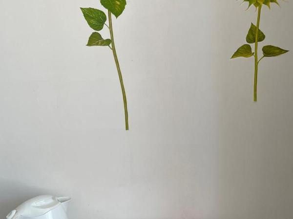 The Blue Moon : photo 4 de la chambre chambre triple avec douche