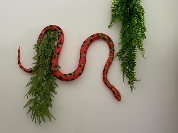 The Blue Moon : photo 4 de la chambre chambre simple standard