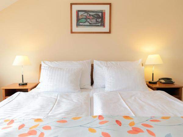 Hotel Orion : photo 1 de la chambre studio
