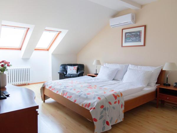 Hotel Orion : photo 3 de la chambre studio