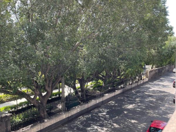 City Hall : photo 8 de la chambre chambre double - vue sur jardin