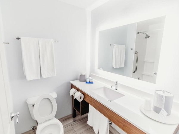 Holiday Inn Express Atlanta - Northeast I-85 - Clairmont Road, an IHG Hotel : photo 4 de la chambre suite lit king-size