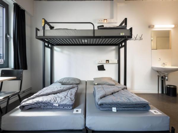 Auberge de Jeunesse Charleroi Youth Hostel : photo 5 de la chambre chambre lits jumeaux