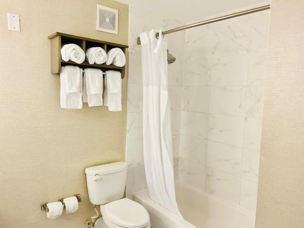 Surfbreak Virginia Beach Oceanfront, Ascend Hotel Collection : photo 6 de la chambre superior queen studio with two queen beds - accessible/non smoking