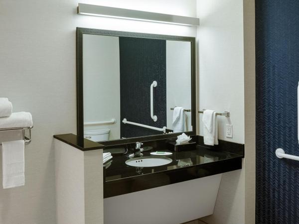 Fairfield Inn & Suites by Marriott Columbus Airport : photo 5 de la chambre hébergement lit king-size avec canapé-lit - non-fumeurs