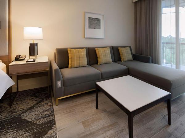 Sheraton Orlando North : photo 1 de la chambre suite 1 chambre lit king-size