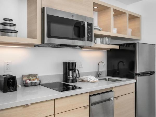 TownePlace Suites by Marriott Nashville Midtown : photo 4 de la chambre studio lit king-size avec canapé-lit