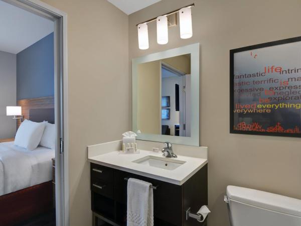 TownePlace Suites by Marriott Indianapolis Downtown : photo 7 de la chambre studio lit king-size avec canapé-lit