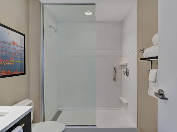 TownePlace Suites by Marriott Indianapolis Downtown : photo 6 de la chambre studio lit king-size avec canapé-lit