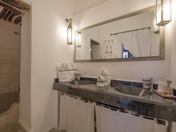 Riad Les Hirondelles Boutique Hotel : photo 6 de la chambre suite deluxe