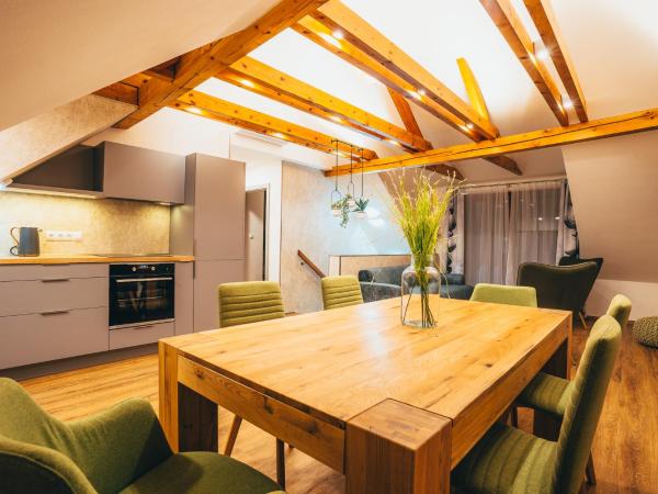 Penzion Tilia : photo 2 de la chambre appartement avec terrasse