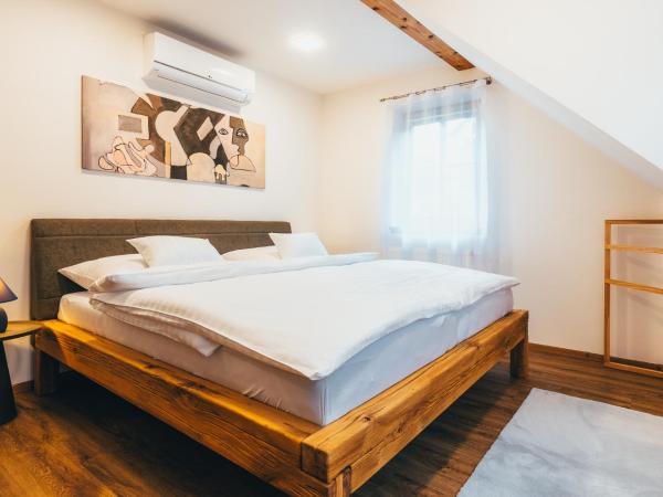 Penzion Tilia : photo 6 de la chambre appartement avec terrasse