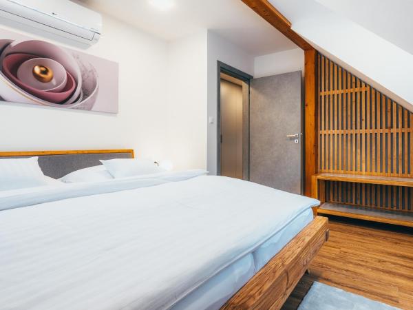 Penzion Tilia : photo 7 de la chambre appartement avec terrasse