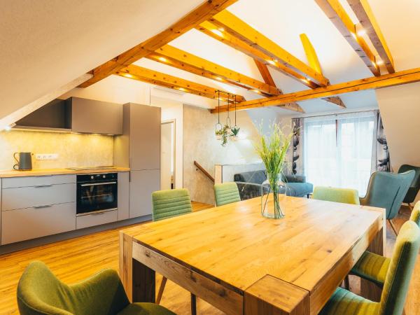 Penzion Tilia : photo 10 de la chambre appartement avec terrasse