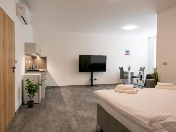 Apartmány Venuše : photo 1 de la chambre studio - accessible aux personnes à mobilité réduite