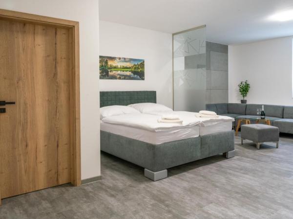 Apartmány Venuše : photo 1 de la chambre suite familiale