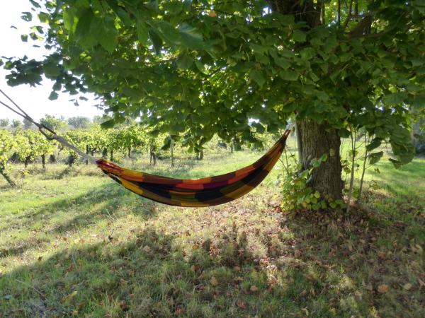 Domaine du Coffre : photo 8 de la chambre maison 2 chambres