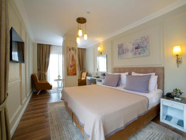Villa Vanilla Hotel & SPA Istanbul Asia : photo 4 de la chambre chambre double ou lits jumeaux standard