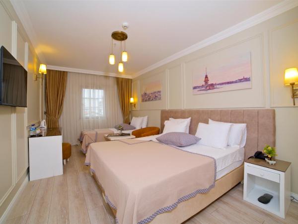 Villa Vanilla Hotel & SPA Istanbul Asia : photo 1 de la chambre chambre triple classique