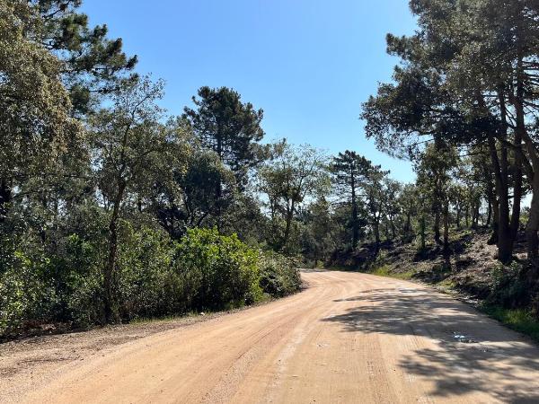 Chambre d'hôte lloret : photo 5 de la chambre chambre double