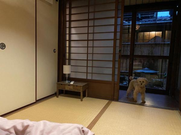 Hotel Lantern Gion : photo 5 de la chambre chambre simple