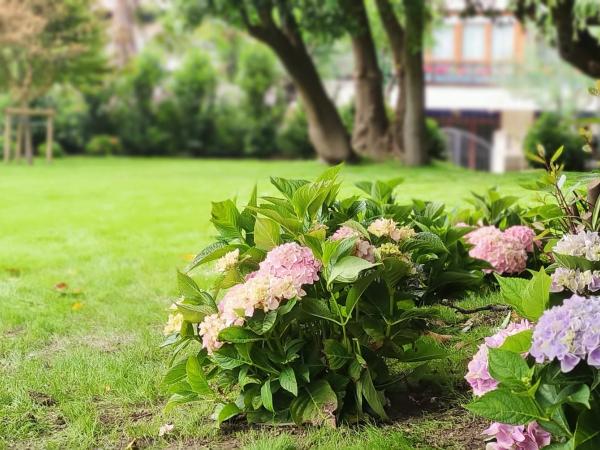 Le Petit Boutique Hotel : photo 7 de la chambre studio avec vue sur jardin