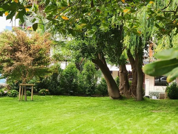 Le Petit Boutique Hotel : photo 6 de la chambre studio avec vue sur jardin