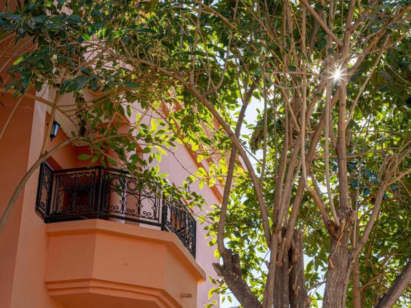 Las Palmeras Guest House : photo 7 de la chambre chambre double