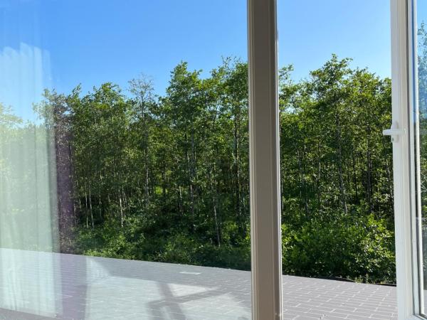 Douglasha House V93RX64 : photo 2 de la chambre chambre double Économique