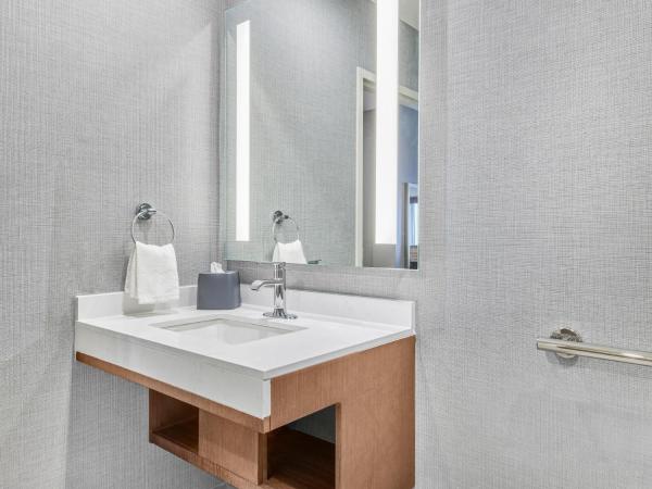 Hyatt Place Houston Medical Center : photo 3 de la chambre chambre lit king-size avec canapé-lit et douche accessible en fauteuil roulant - accessible aux personnes à mobilité réduite