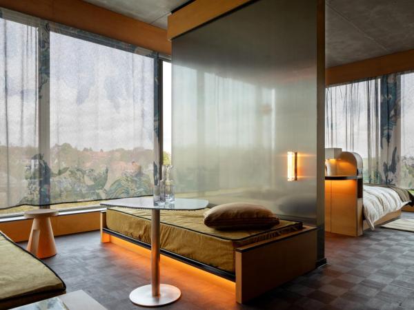 Mix Brussels --Gym & Wellness for adults only-- : photo 3 de la chambre 40 panorama