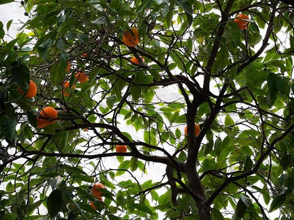 Titan House Hostel : photo 1 de la chambre chambre double avec salle de bains privative