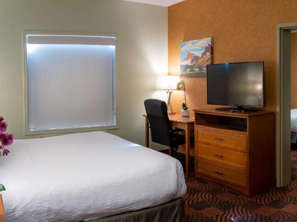 Service Plus Inns and Suites Calgary : photo 1 de la chambre two-room king suite with one king bed and two single beds - non-smoking