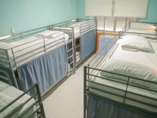 Terraza del Limonar : photo 4 de la chambre lit simple dans dortoir de 10 lits