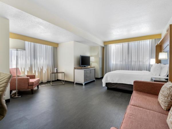 Holiday Inn Orlando International Drive - ICON Park : photo 1 de la chambre chambre lit king-size très spacieuse - non-fumeurs