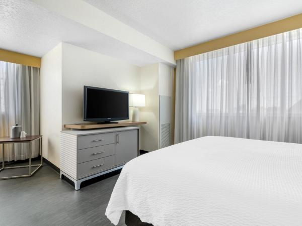 Holiday Inn Orlando International Drive - ICON Park : photo 9 de la chambre chambre lit king-size très spacieuse - non-fumeurs