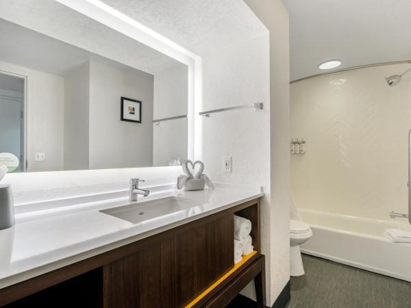 Holiday Inn Orlando International Drive - ICON Park : photo 7 de la chambre chambre lit king-size loisirs - non-fumeurs
