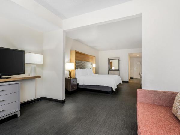 Holiday Inn Orlando International Drive - ICON Park : photo 2 de la chambre suite lit king-size – non-fumeurs