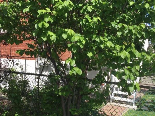 Heaven Is A Place On Earth : photo 4 de la chambre chambre double avec salle de bains privative