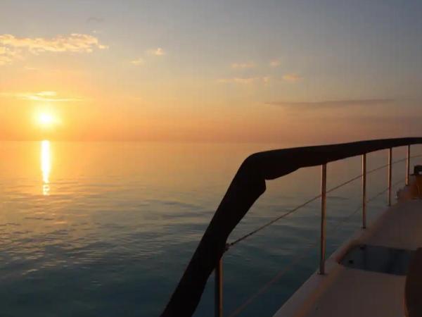 Boat Trip Adventure in Florida : photo 4 de la chambre mobile home