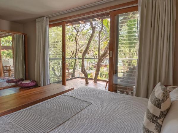 Mi Amor Boutique Hotel-Adults Only : photo 3 de la chambre vue sur piscine