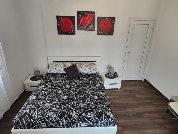 Viktor rooms and apartments : photo 1 de la chambre chambre double avec terrasse