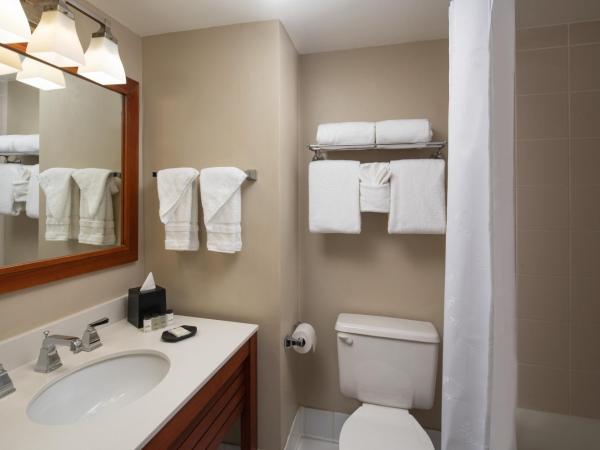 Sheraton Suites Fort Lauderdale at Cypress Creek : photo 5 de la chambre suite lit king-size et canapé-lit