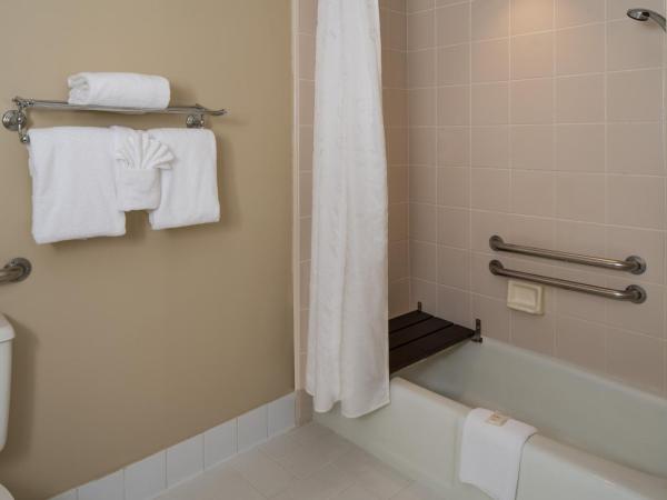 Sheraton Suites Fort Lauderdale at Cypress Creek : photo 6 de la chambre suite lit king-size et canapé-lit