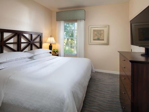 Sheraton Vistana Resort Villas, Lake Buena Vista Orlando : photo 1 de la chambre petite villa 1 chambre