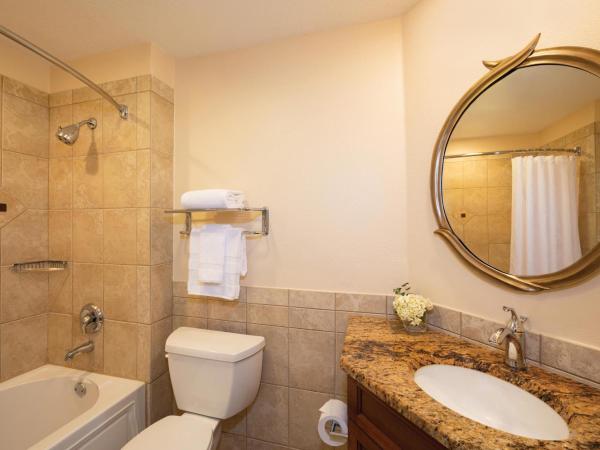 Sheraton Vistana Resort Villas, Lake Buena Vista Orlando : photo 3 de la chambre petite villa 1 chambre