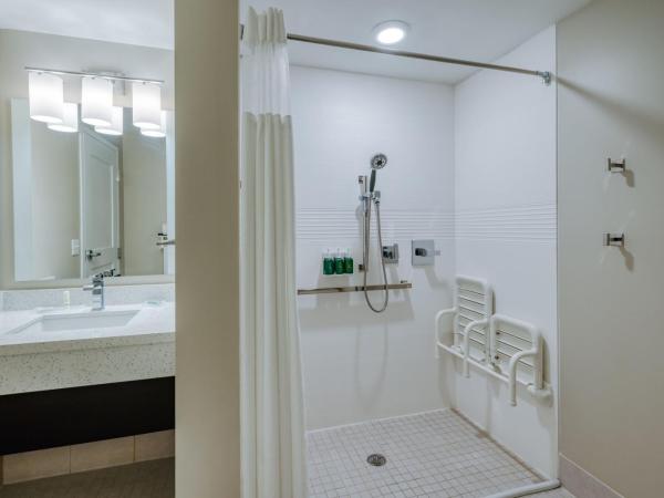 TownePlace Suites by Marriott Indianapolis Airport : photo 8 de la chambre studio lit king-size avec canapé-lit